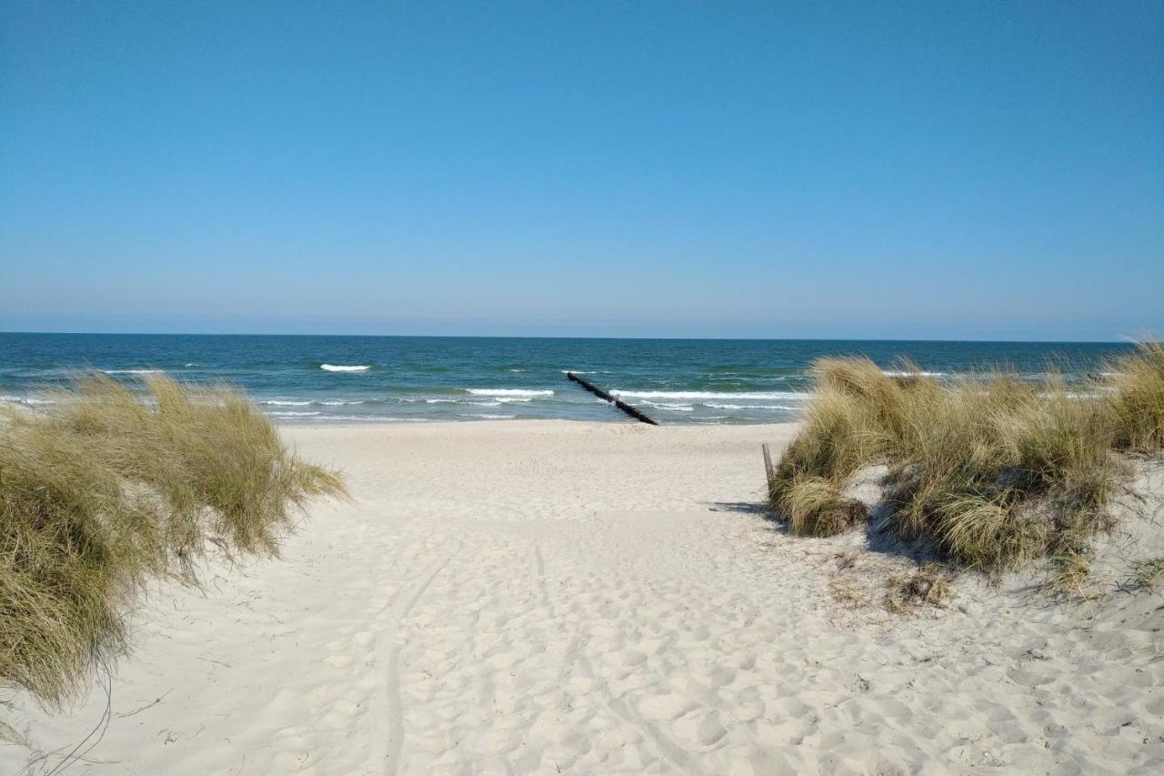 Suennenkringel 68 Appartement 1 Zingst Exteriér fotografie